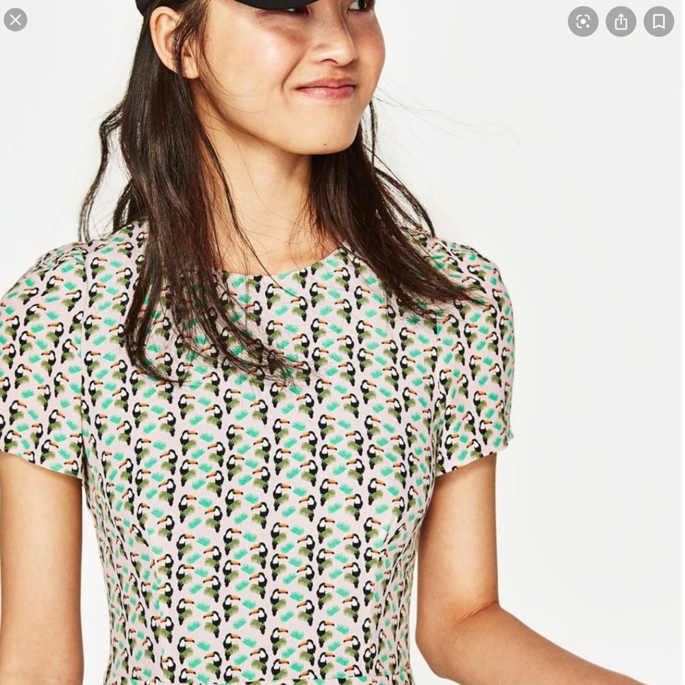 NWT Zara Printed Tuscan Dress